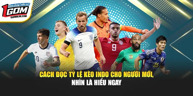 Tỷ Lệ Cược Indo Là Gì? Cách Đọc Và Áp Dụng Hiệu Quả Cách đọc tỷ lệ kèo Indo cho người mới, nhìn là hiểu ngay